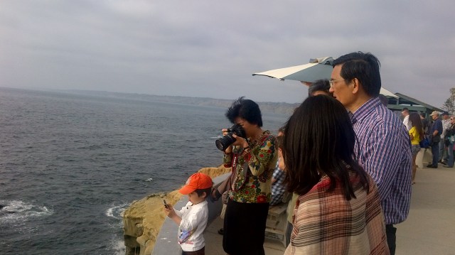 Pictures of People Taking Pictures 